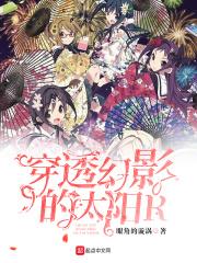 穿透幻影的太阳reboot