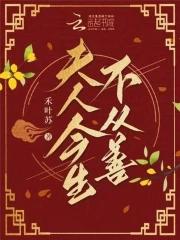 夫人今生不嫁你