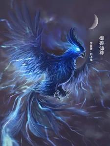 从云鹤鸟开始的