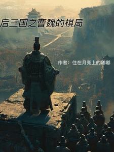 三国后期魏国实力增强