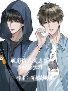 瓶邪雨村记事