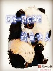 我是大熊猫之熊猫大侠评价