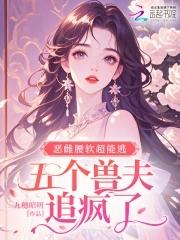 五个兽夫追疯了女主叫苏安安