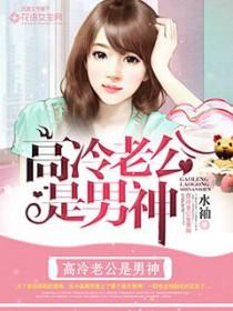高冷老公太感人免费阅读
