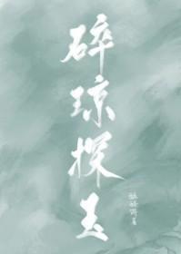 碎琼探玉免费阅读全文
