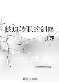 被迫转职的剑修攻是