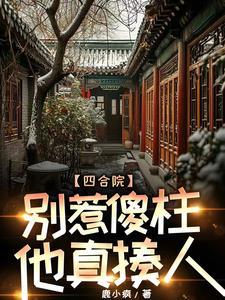 四合院 傻柱的别样人生