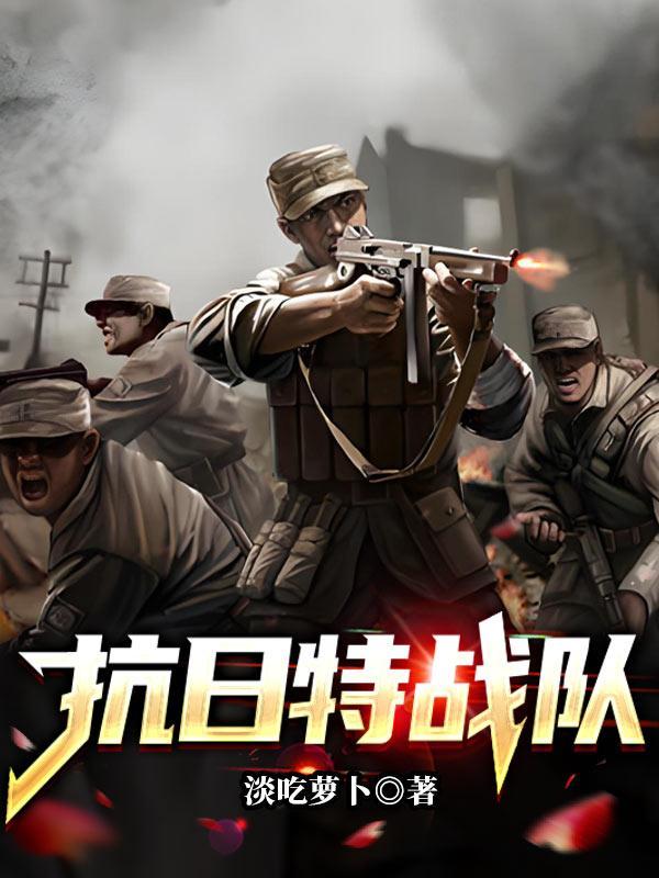 抗日特战队电视剧大全