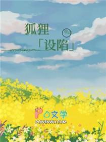 狐狸的陷阱原名