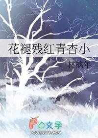 花褪残红青杏小(全二册)(出版) 南适