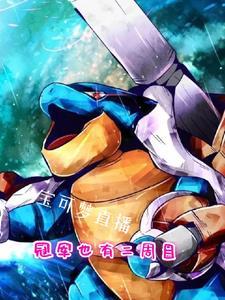 宝可梦冠军之路