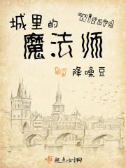 城市魔法师