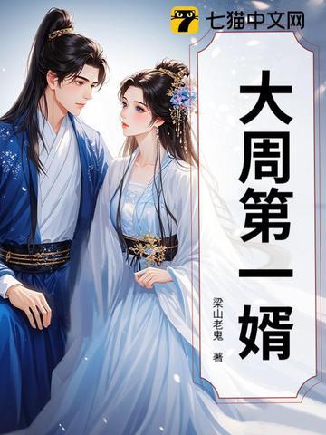 大周闲婿