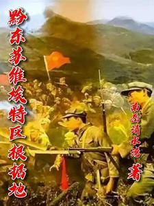 苏维埃政府在哪个县
