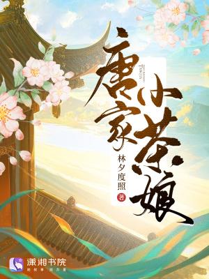 唐家小主的所有作品