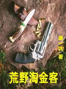 荒野大淘金在线观看国语央视