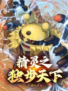 精灵宝可梦z神