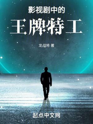 国产电视剧王牌特工演员表