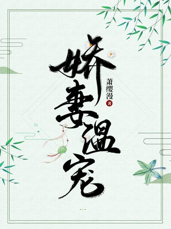 娇宠小妻