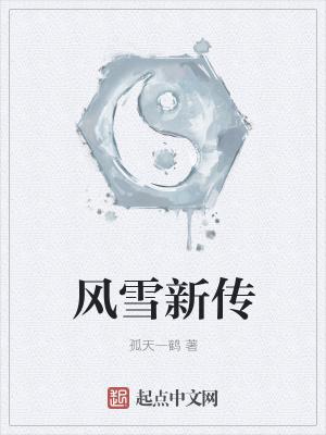 风雪传媒有限公司