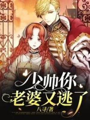 少帅你的老婆又逃跑了