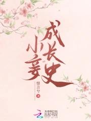 小妾的书