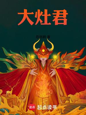 大灶君 txt