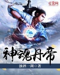 神魂丹帝主角