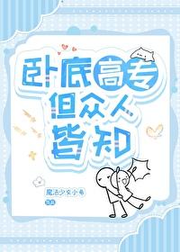 卧底完结
